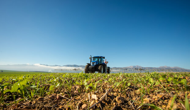 Fototapeta Wide angle image of a crop spray machine spraying chemicals on wheat crop on a farm in south africa
