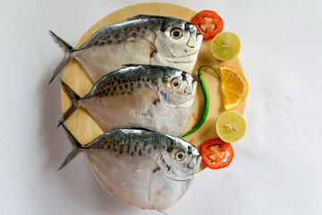 Fresh Razor moonfish/Razor Trevally Fish, Decorated with herbs and lemon slice on a wooden pad.
