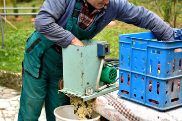 Fruit grower  throws apples into a crusher machine making brash