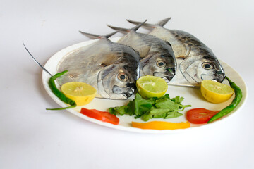 Fresh Razor moonfish/Razor Trevally Fish, Decorated with herbs and lemon slice on a white plate.