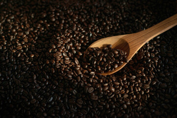 Coffee beans in wooden spoon, under beam of light