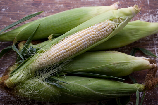 Food photograph with overhead view of corn