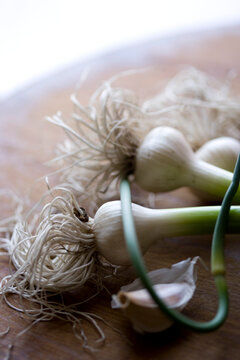 Food photograph of green garlic, scales and garlic