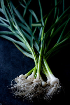 Food photograph of green garlic