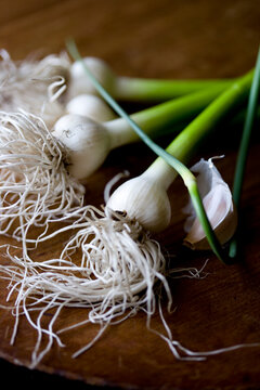 Food photograph of green garlic, scales and garlic