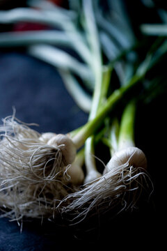 Food photograph of green garlic