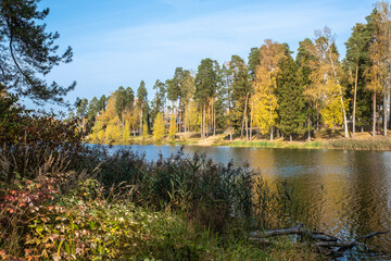 Fototapete bei efototapeten.de bestellen   