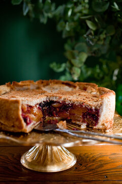 Close up of dried fruit charlotte cake