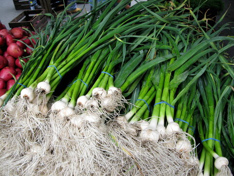 Green garlic in grocery shop