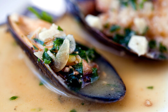 Ale steamed mussels with garlic and mustard on plate