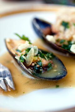 Ale steamed mussels with garlic and mustard on plate