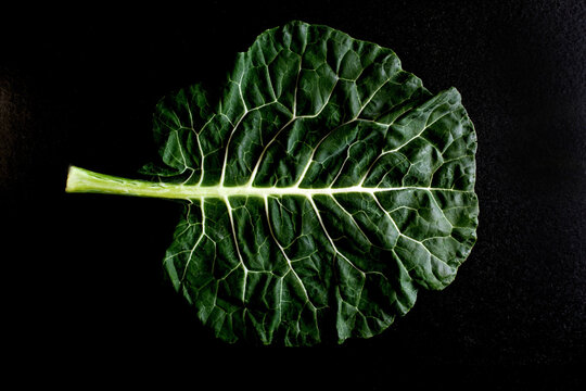 Overhead view of cabbage leaf against black background
