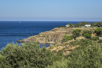 Racou natural site near Argeles-sur-Mer, Pyrenees Orientales, Languedoc Roussillon, France.