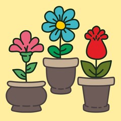 flower in a pot