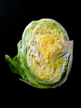 Close up of iceberg lettuce on black background