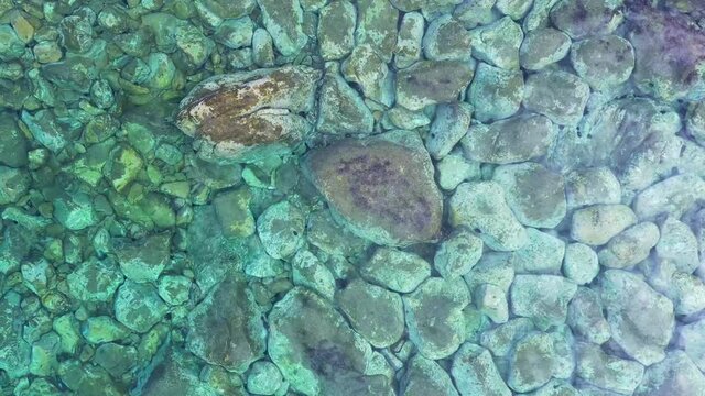 Aerial top down view of blue clear sea water surface
