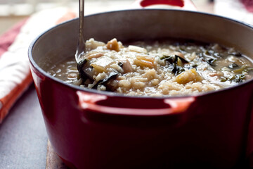White beans with Swiss chard and rice in pot