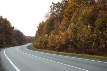 Fototapeta premium Beautiful view of empty asphalt highway and autumn trees