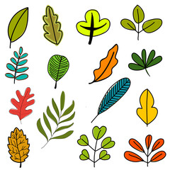 set of plants flowers and leaves hand drawn cartoon vector  elements