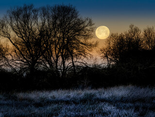 Paisaje nocturno con luna llena al atardecer y ramas peladas de árboles en silueta en invierno.