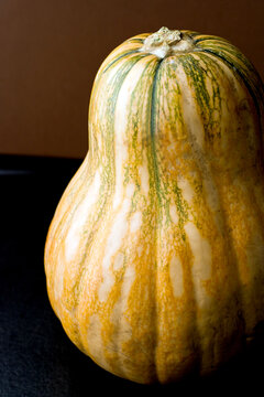 Raw butternut squash