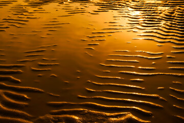 Curvy golden beach water reflex direct sun