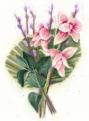 Watercolor bouquet orchid and pussy willow on a white background. 