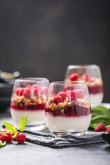 Raspberry Panna cotta or .parfait with raspberry jelly, Italian dessert, homemade cuisine. Copy space.