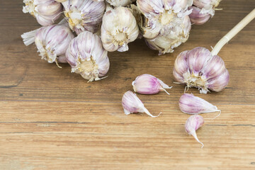 Natural, organic garlic on wooden background  
