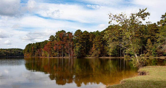 First Fall Color At Falls Lake North Carolina