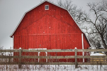 1183 - Lakeville Red in Winter