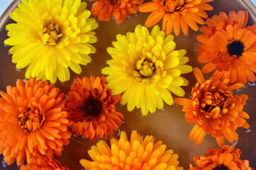 Different colored flower mandala on floating on water plate made of fresh flowers. Floral background with nature flowers. Flower mosaic