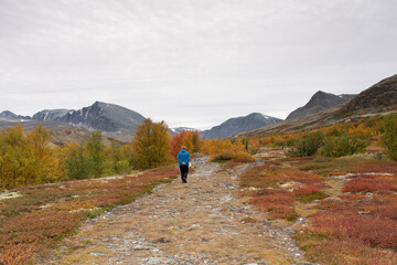 Obraz premium Autumn in Dørålen, Rondane, Norway.