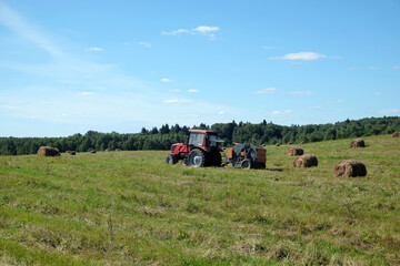 Rural landscape with tractor working in the long field with many rolled dry hay at the edge of the forest on bright sunny summer day