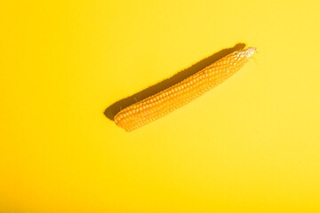 Obraz premium dry corn on a yellow background.