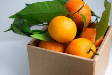 tangerines and leaves in craft box