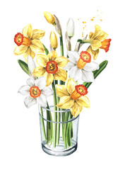 Bouquet in the glass vase of spring Narcissus flowers. Hand drawn watercolor illustration, isolated on white background