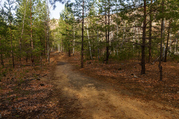 A path in the forest of Tsarev Kurgan near the city of Samara