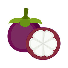 Mangosteen, whole fruit and half, on white background, vector illustration