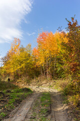 Fototapeta na wymiar Autumn in a natural national Park, tourists travel in nature.