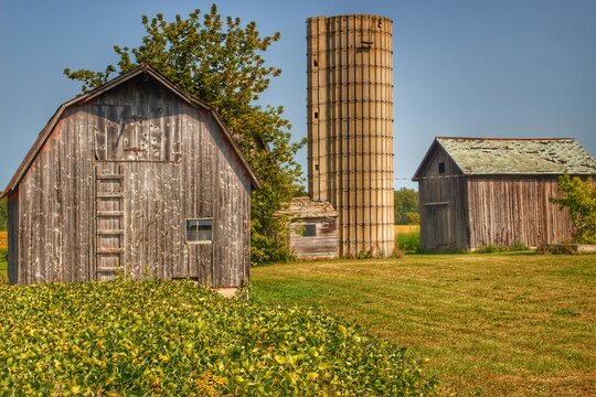 1247 - Swaffers Mini-Greys and Silo II 