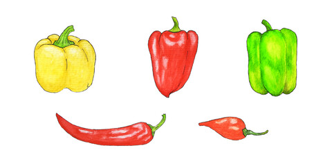 Watercolor set with chili peppers, sweet yellow peppers, bell peppers, red hot peppers. Set for design menu, labels isolated on white background.