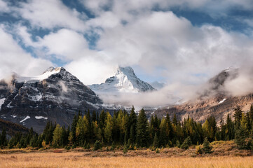 Mount Assiniboine with cloud flowing through in autumn forest on provincial park