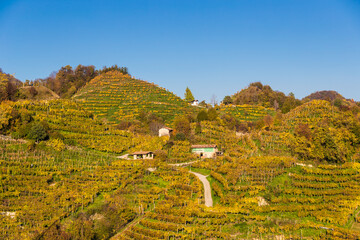The Prosecco hills in autumn