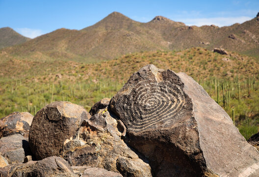 The petroglyphs of Saguaro National Park