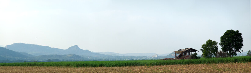 Fototapeta na wymiar Panorama of sugarcane fields and mountains