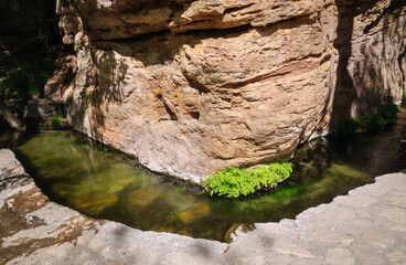 Water Pool at the Montezuma Well unit of Montezuma Castle National Monument