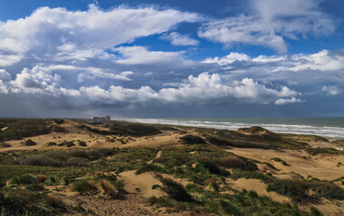 Fototapeta na wymiar Dunes and clouds at Kijkduin in The Hague, Holland