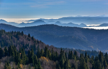 Fototapeta premium Pieniny z Wieży WIdokowej na Magórkach, Gorce