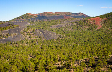 Fototapeta na wymiar Red, Black, and Green at Sunset Crater National Monument